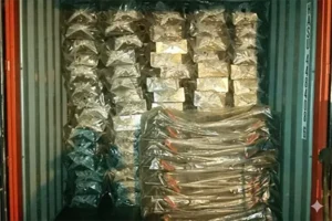 hand trucks in container